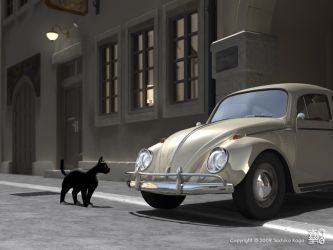 Cat & Beetle