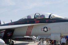 VAQ-141 シャドーホークス Shadowhawks F/A-18G